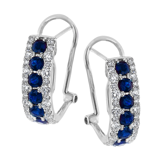 ZE407 COLOR EARRING